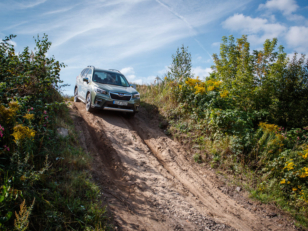 Subaru Forester e-Boxer 2019